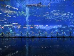 -成都浩海立方海洋公园
