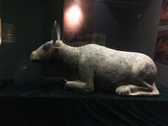 -宁夏博物馆