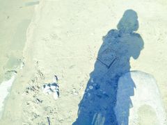 -武清南湖绿博园