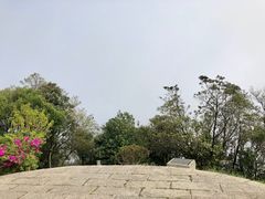 -梧桐山风景名胜区