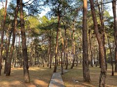 -Club Med地中海俱乐部·桂林度假村