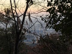 -杭州半山国家森林公园