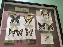 -上海昆虫博物馆