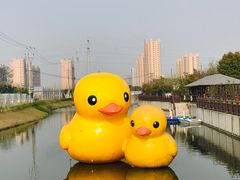-菊园百果园