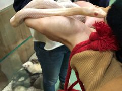 -藦茜花园宠物主题亲子互动体验馆(国顺东路店)