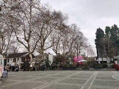 -莫干山风景区