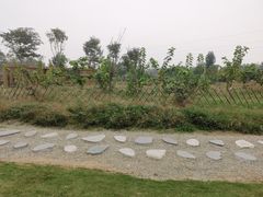 -夏河溪乡野公园