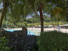 -重庆海昌加勒比海水世界