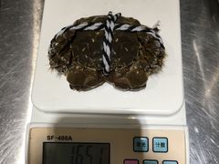 -喜洋洋蟹庄(阳澄湖店)
