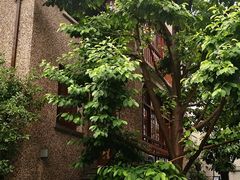 -星巴克臻选(思南公馆店)