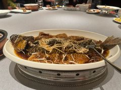 -津菜典藏河西店(水上店)