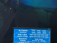 -海合安青岛极地海洋公园