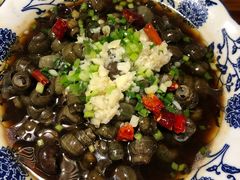 -呼吸森林·生态农庄农家乐私房菜