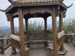 -大岭沟猕猴桃谷风景区