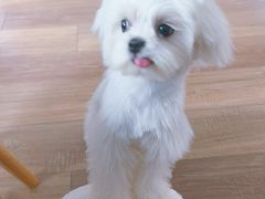 -渝味川菜(夜宵航母店)