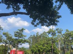 -云溪植物园