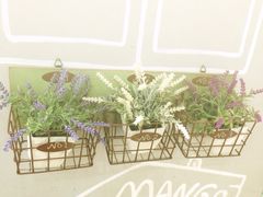 糖糖创意甜品(惠福东路店)-糖糖屋•糖水•雪花冰店(时尚天河店)