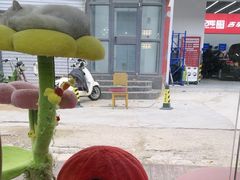 -糯米喵星人总部直营旗舰店·猫舍·幼猫出售