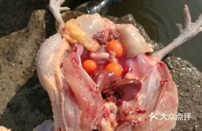 Free-range Old Hen Chicken Soup