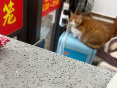 -珊珊小笼馆(仙霞路店)