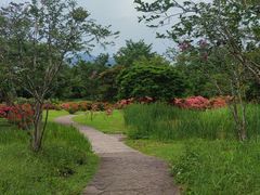 -中国科学院西双版纳热带植物园