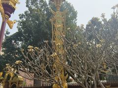 -西双版纳总佛寺