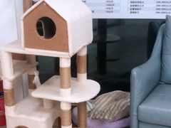 -良伴无忧宠物医院(泰欣嘉园店)