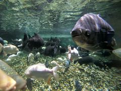 -成都浩海立方海洋公园