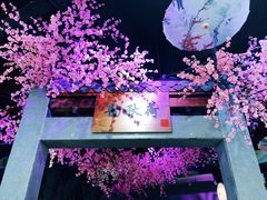-韵秋荷(宝山龙湖天街店)