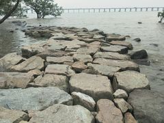 -宝安西湾红树林湿地公园