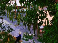 -MOJ coffee(瓯海泽雅水碓坑店)