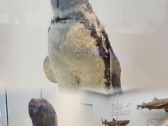-重庆欢乐海底世界