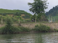 -河口景区