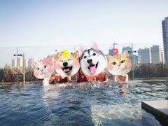 -清河半岛温泉度假酒店