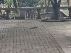 -无锡梅园公园