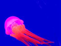 景点-华夏文旅西安度假区