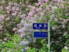 -哈尔滨商业大学(南校区)