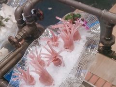 -大妙火锅·非物质文化遗产(东郊记忆店)