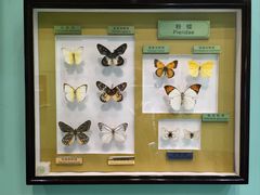 -上海昆虫博物馆