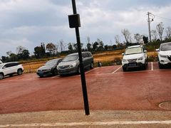 -船歌·鱼水饺青岛菜(石老人店)