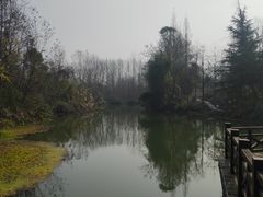 -桤木河湿地公园