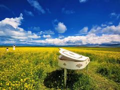 -青海湖国家重点风景名胜区