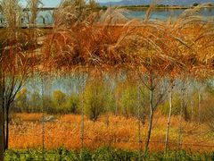 -野鸭湖国家湿地公园