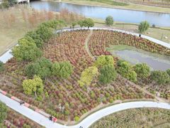 -春花秋色城市公园