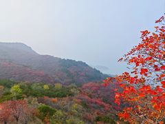 -十三陵水库