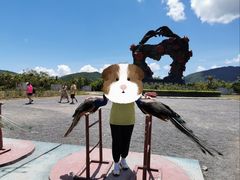 -亚龙湾国际玫瑰谷