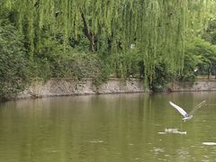 -南翠屏公园