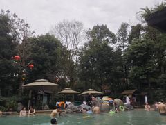 -青城道汤池