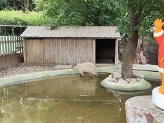 -无锡动物园·太湖欢乐园