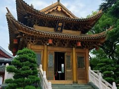 -上海东林寺(金山区)